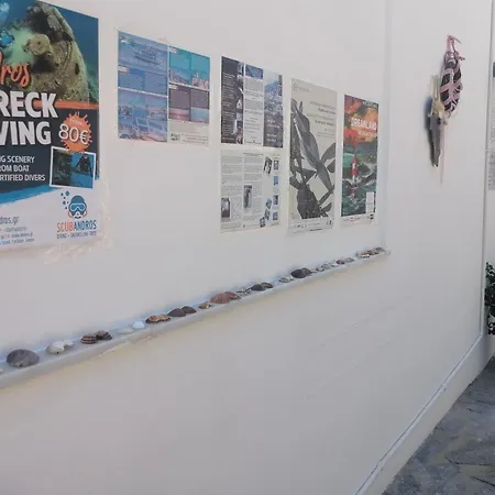 Elpida Andros Apartamento *