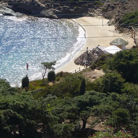 Elpida Andros *