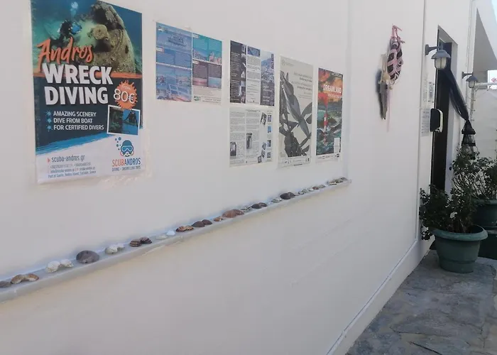 Elpida Andros Διαμέρισμα *