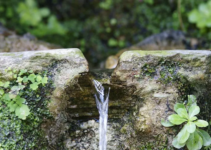 Elpida Andros Μπατσί